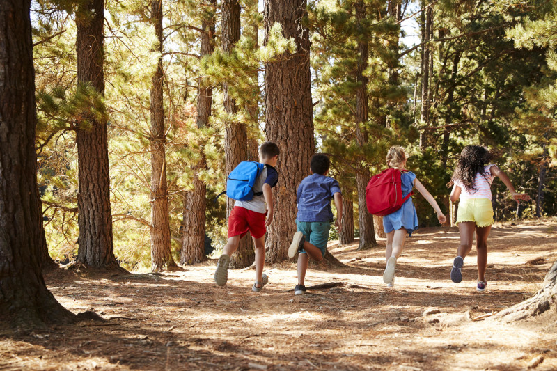 Group of children running in the woods